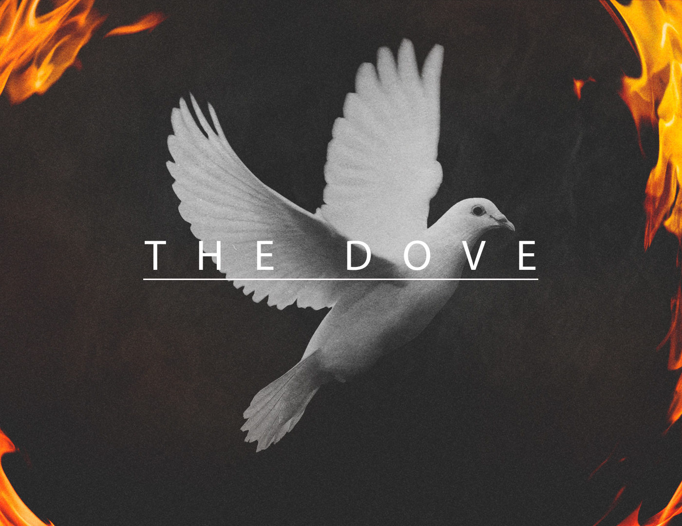 The Dove