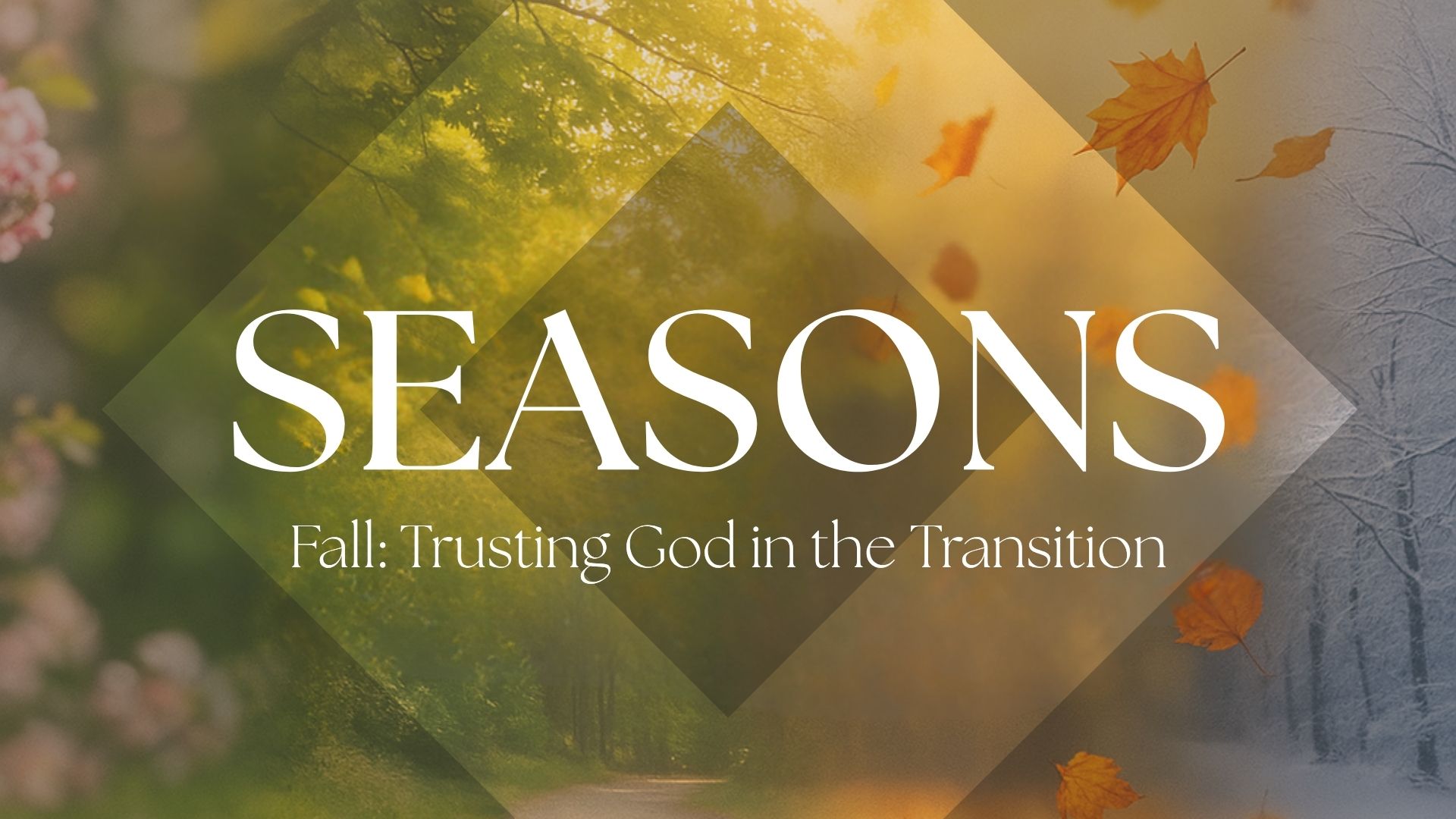 Seasons of Life: Fall