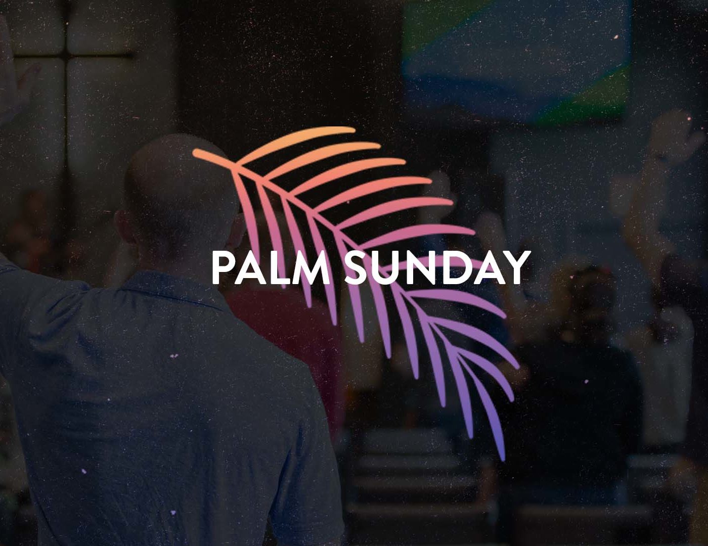 Who is This? | Matthew 21:1-11