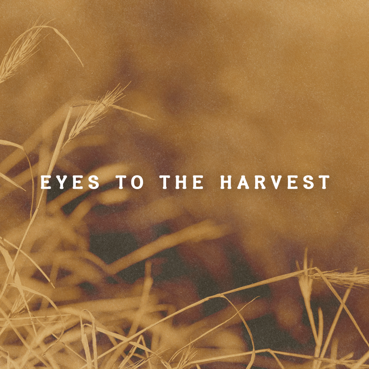 Eyes to the Harvest episode artwork