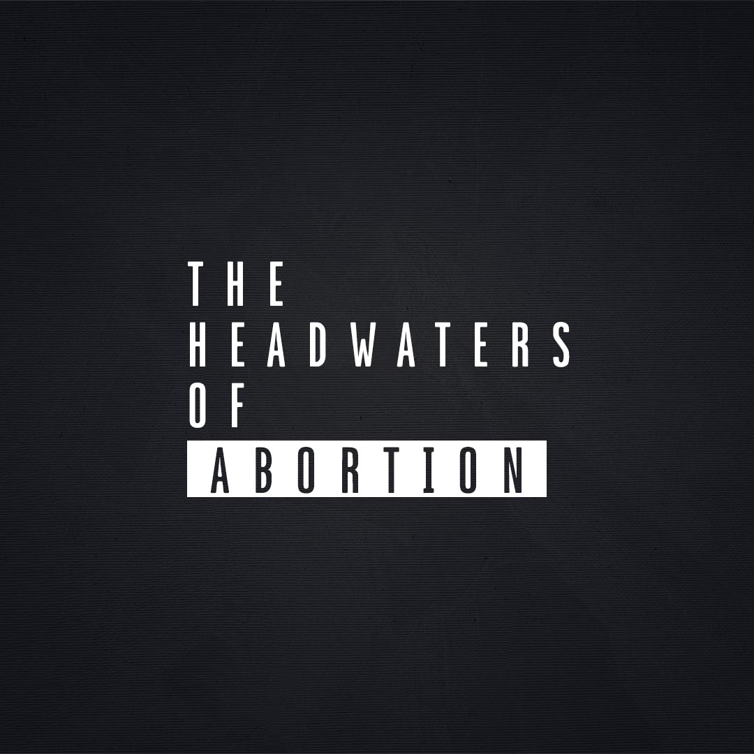The Headwaters of Abortion episode artwork