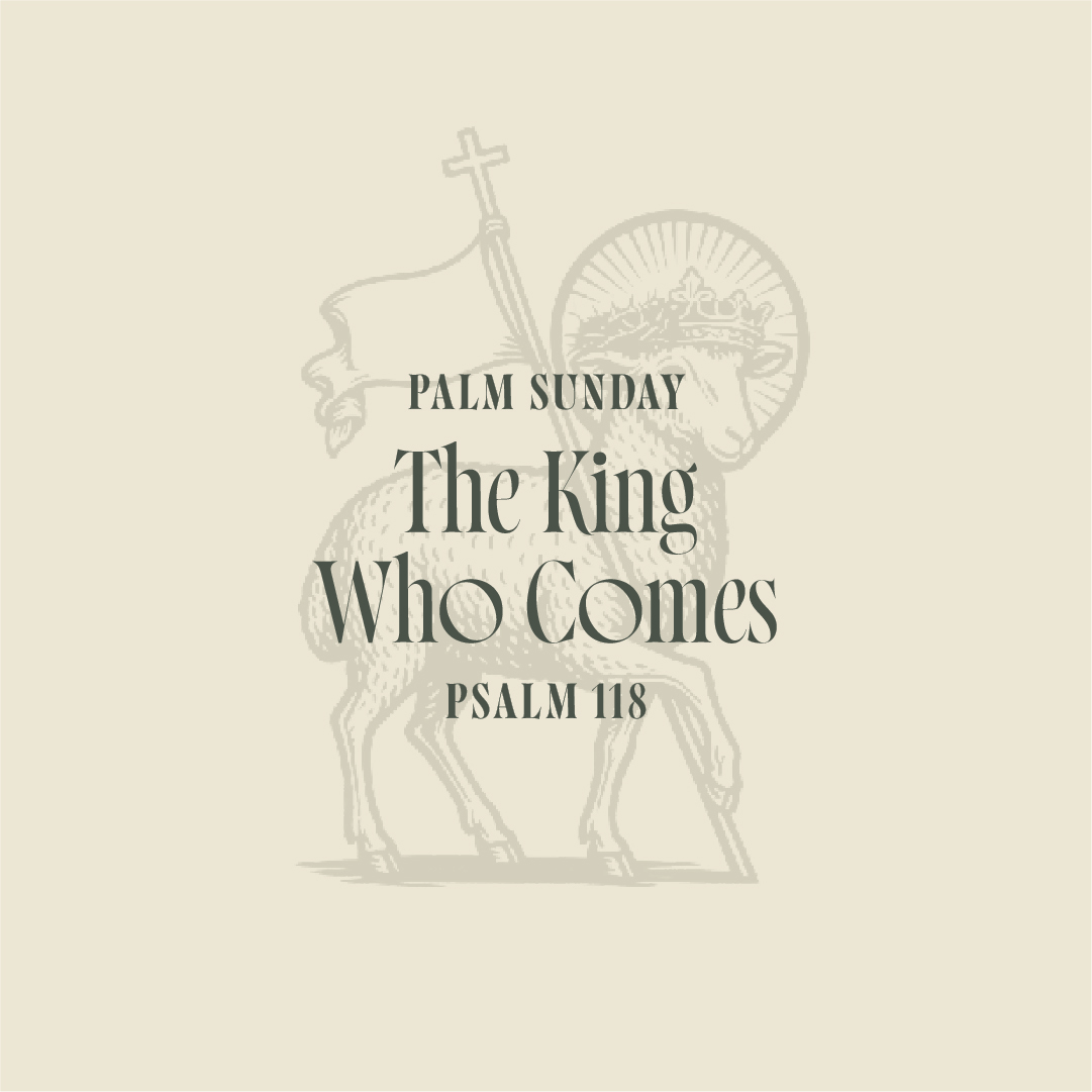 Palm Sunday: The King Who Comes
