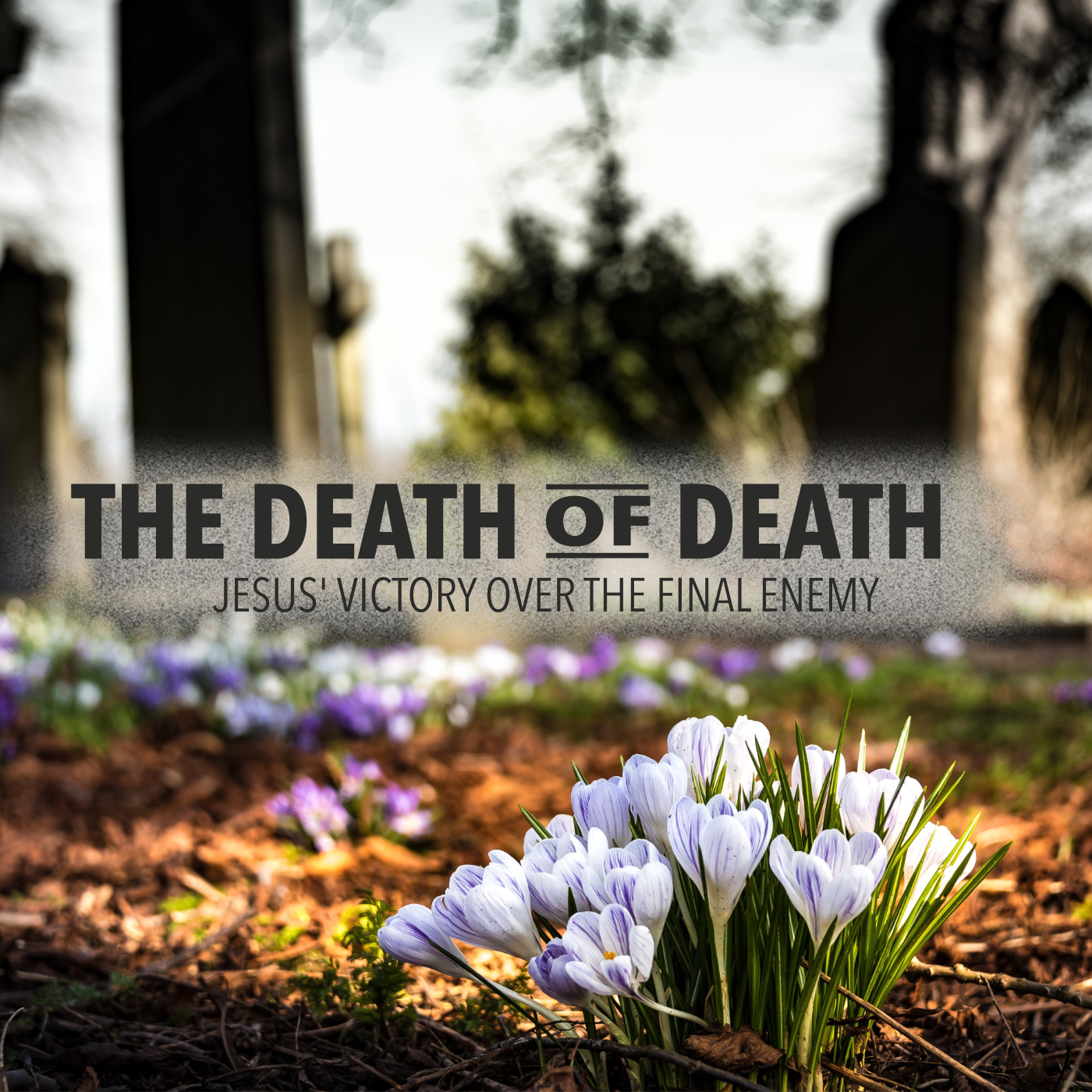 God’s Promise About Death episode artwork