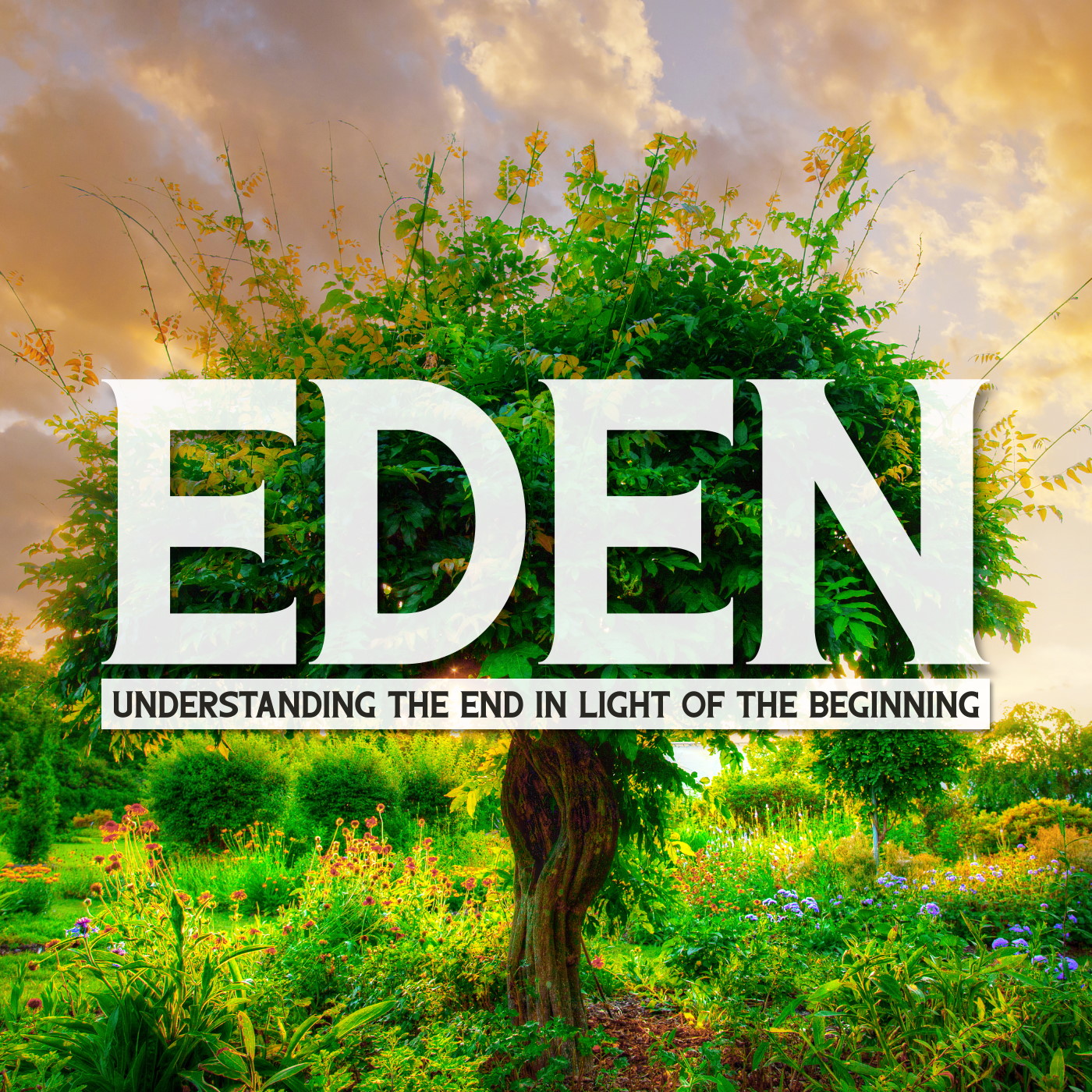 The Trees of Eden The church of Christ on McDermott Road