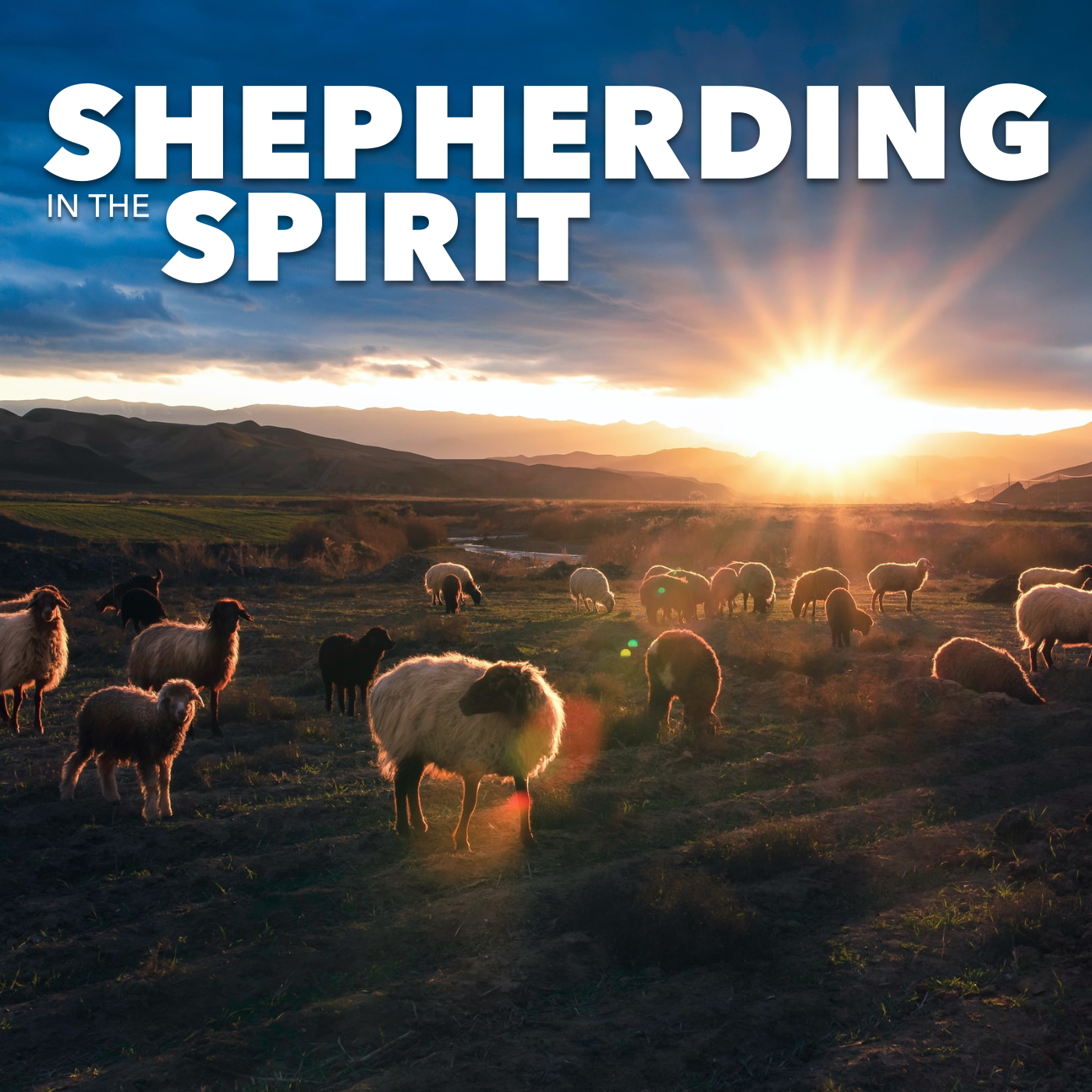 Spirit-Filled Shepherds Speak with Courage episode artwork