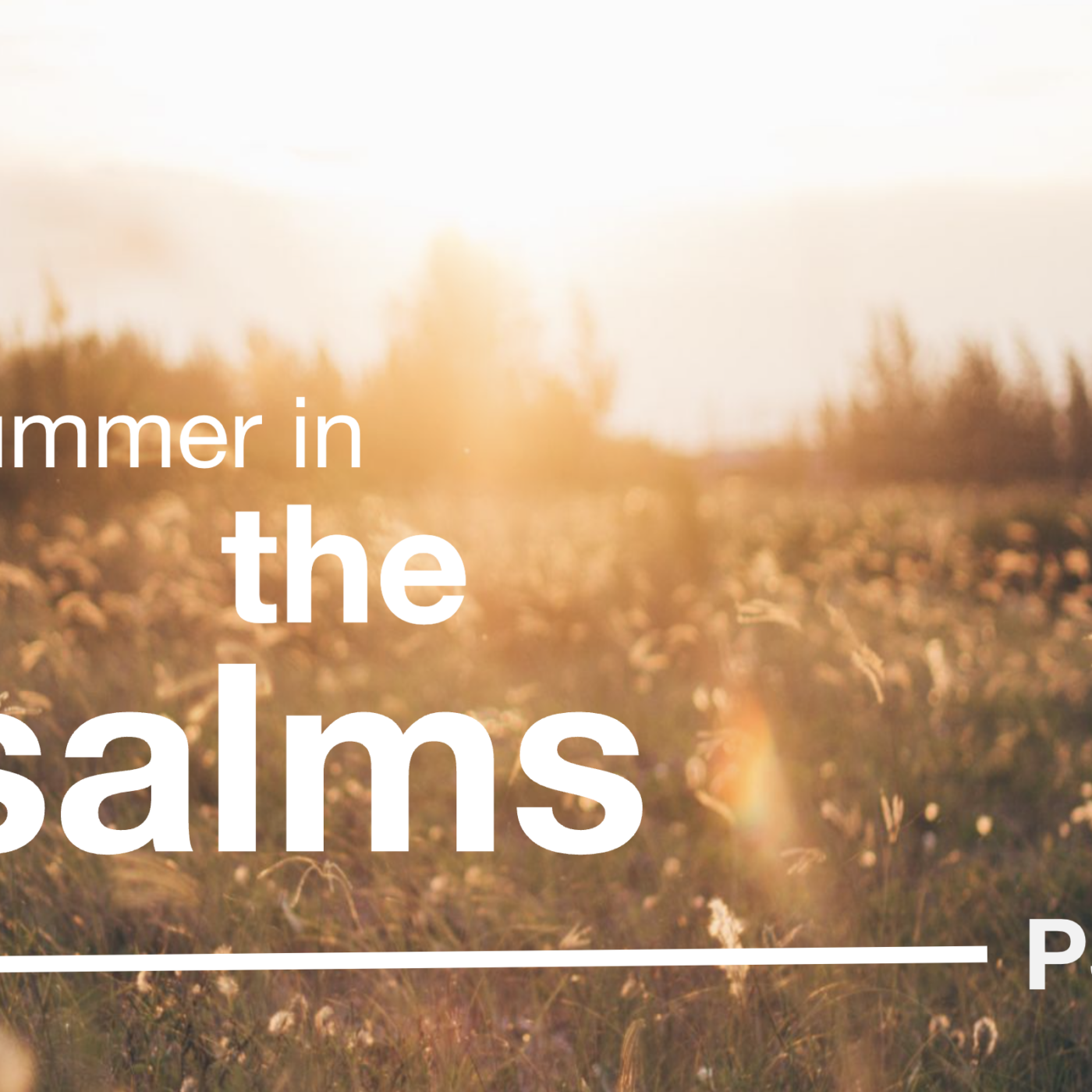 Psalm 23 episode artwork
