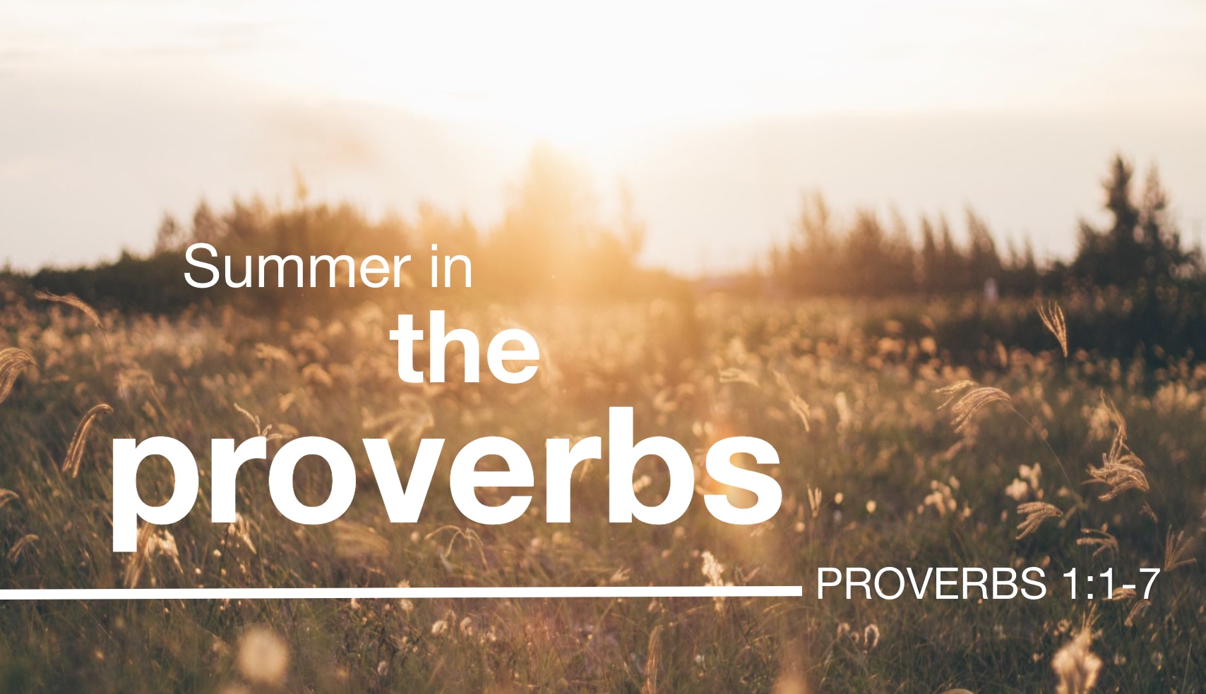 Proverbs 1 – The Beginning of Wisdom episode artwork