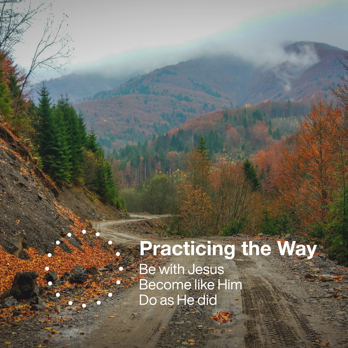 PRACTICING THE WAY