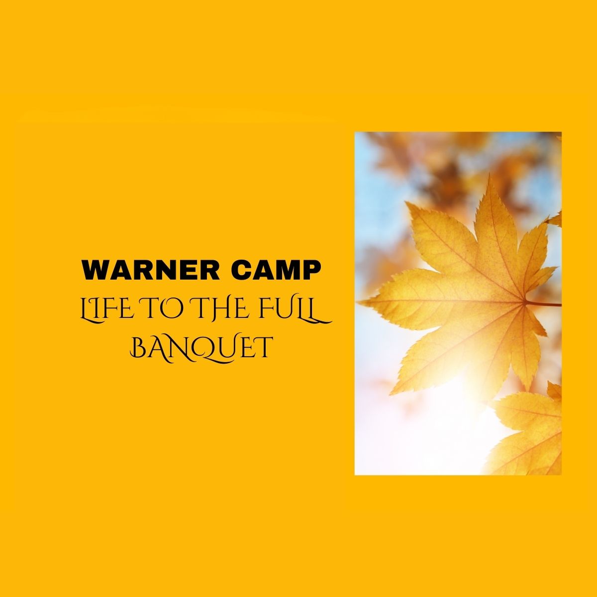 Life to the Full Fall Banquet