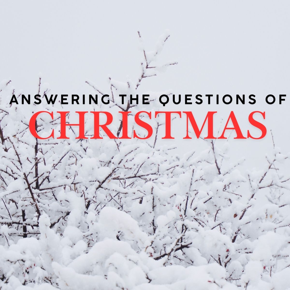 Answering the Questions of Christmas
