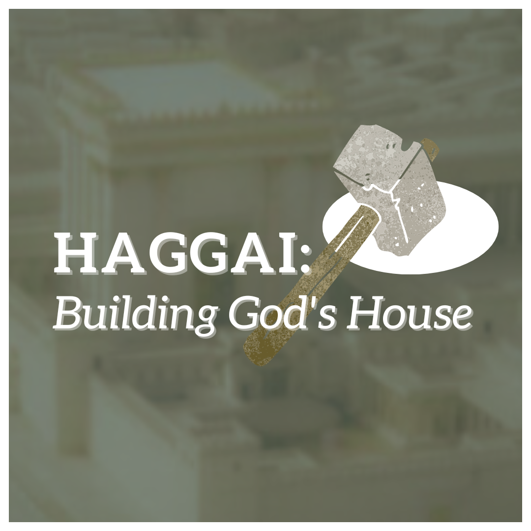 Consider Your Ways | Haggai: Building God’s House episode artwork