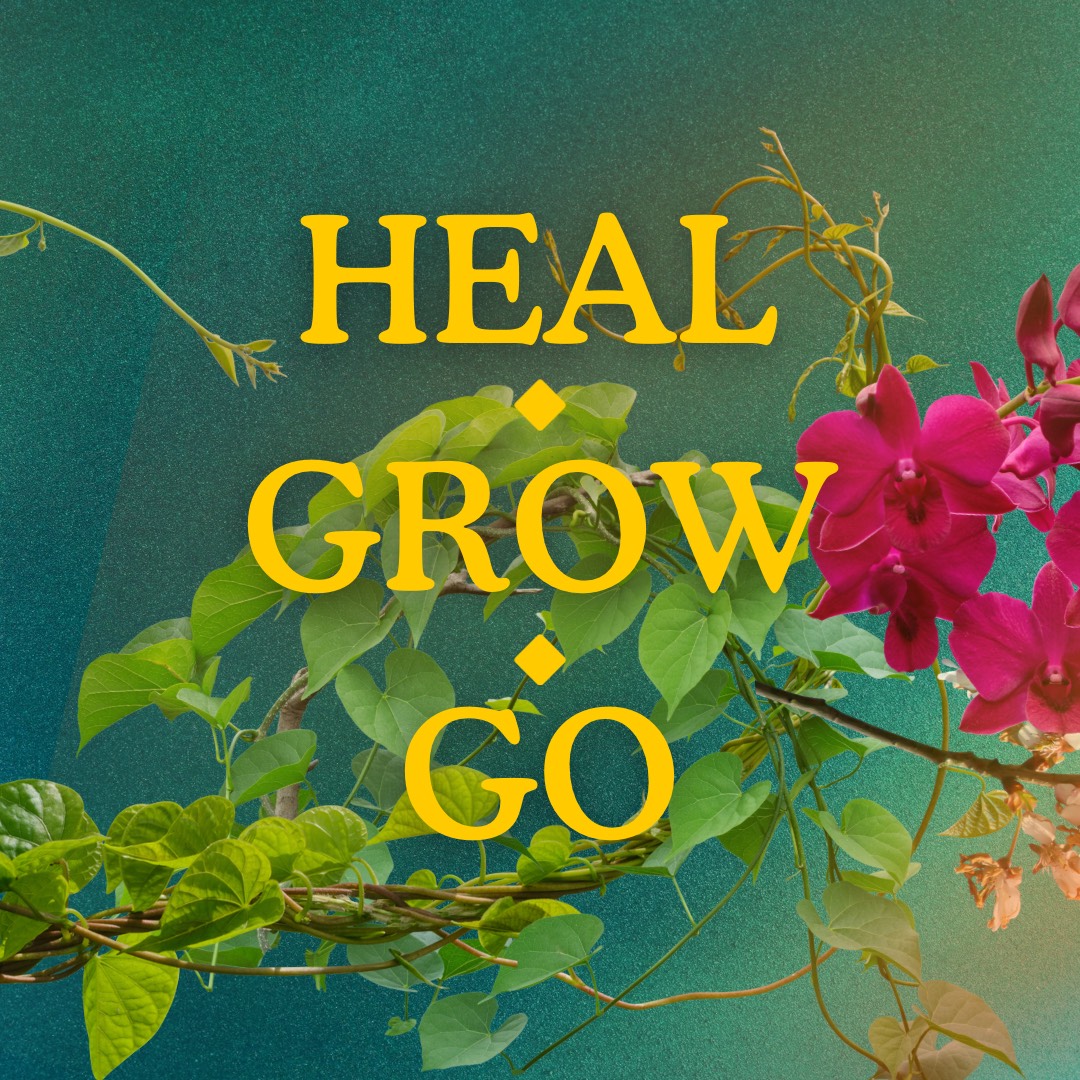 Go. Save the World. | Heal, Grow, Go episode artwork