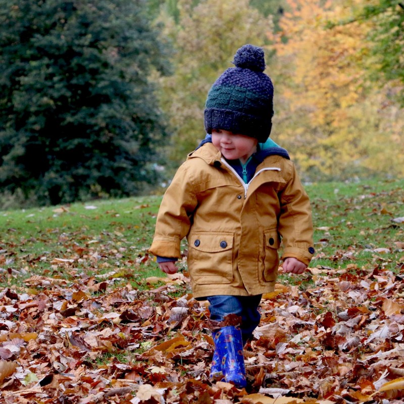 The Header image