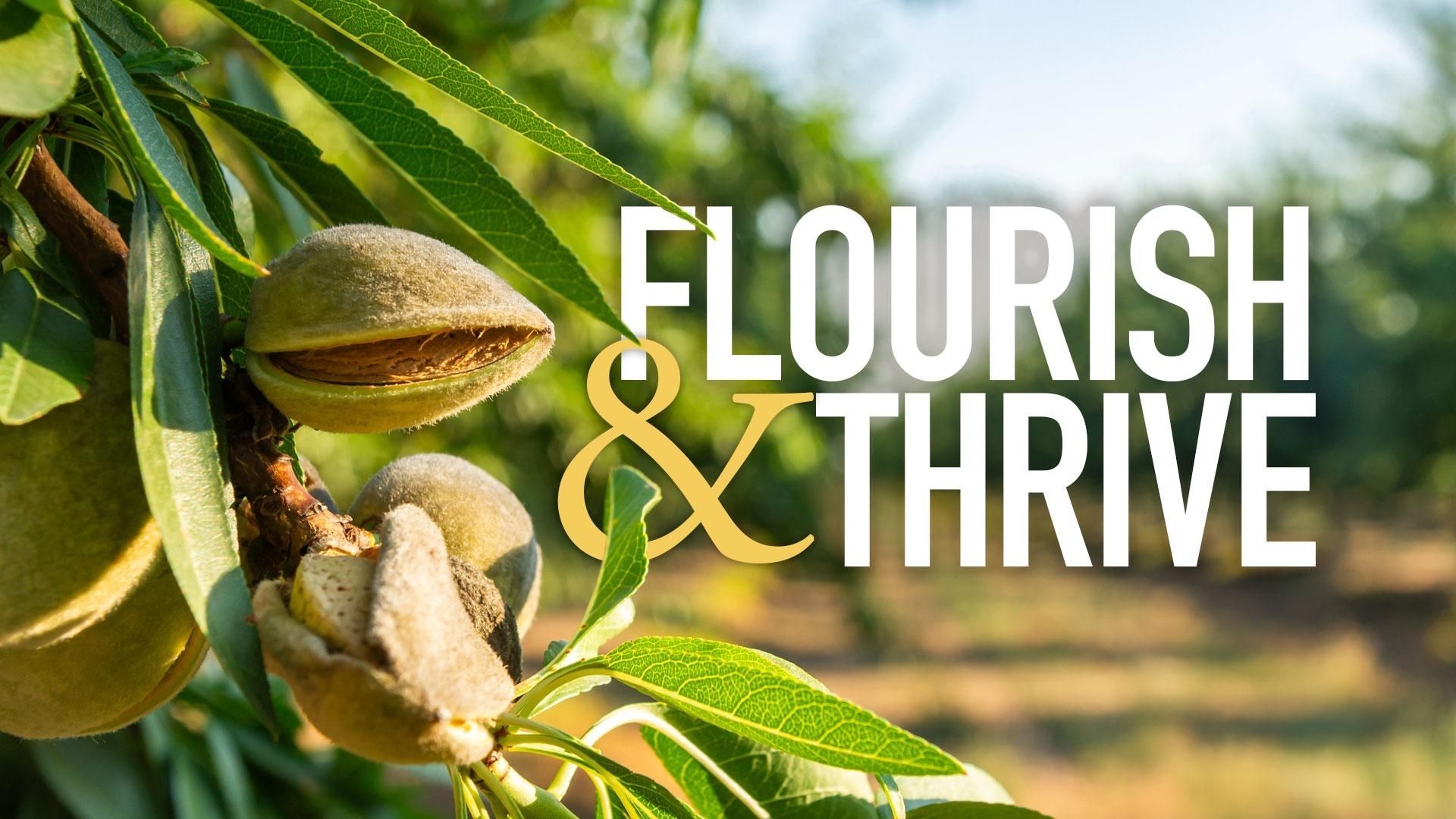 Don't miss a Sunday of Flourish & Thrive