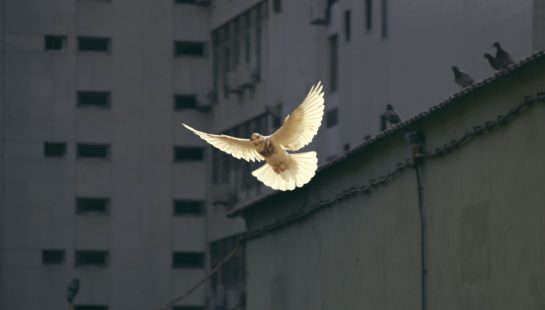 Featured Image