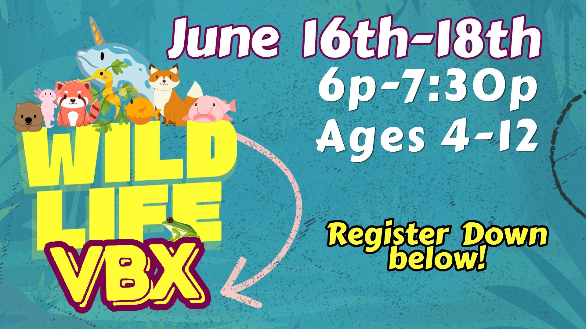 VBX: Wild Life 2026