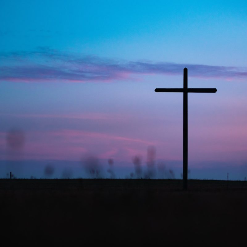 The Header image