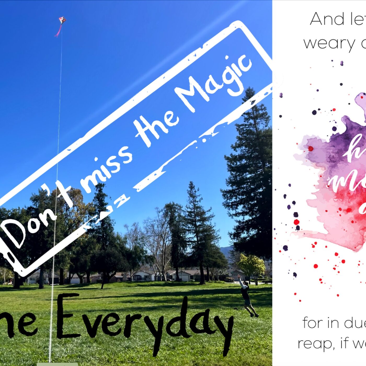 Don’t miss the Magic in the Everyday episode artwork