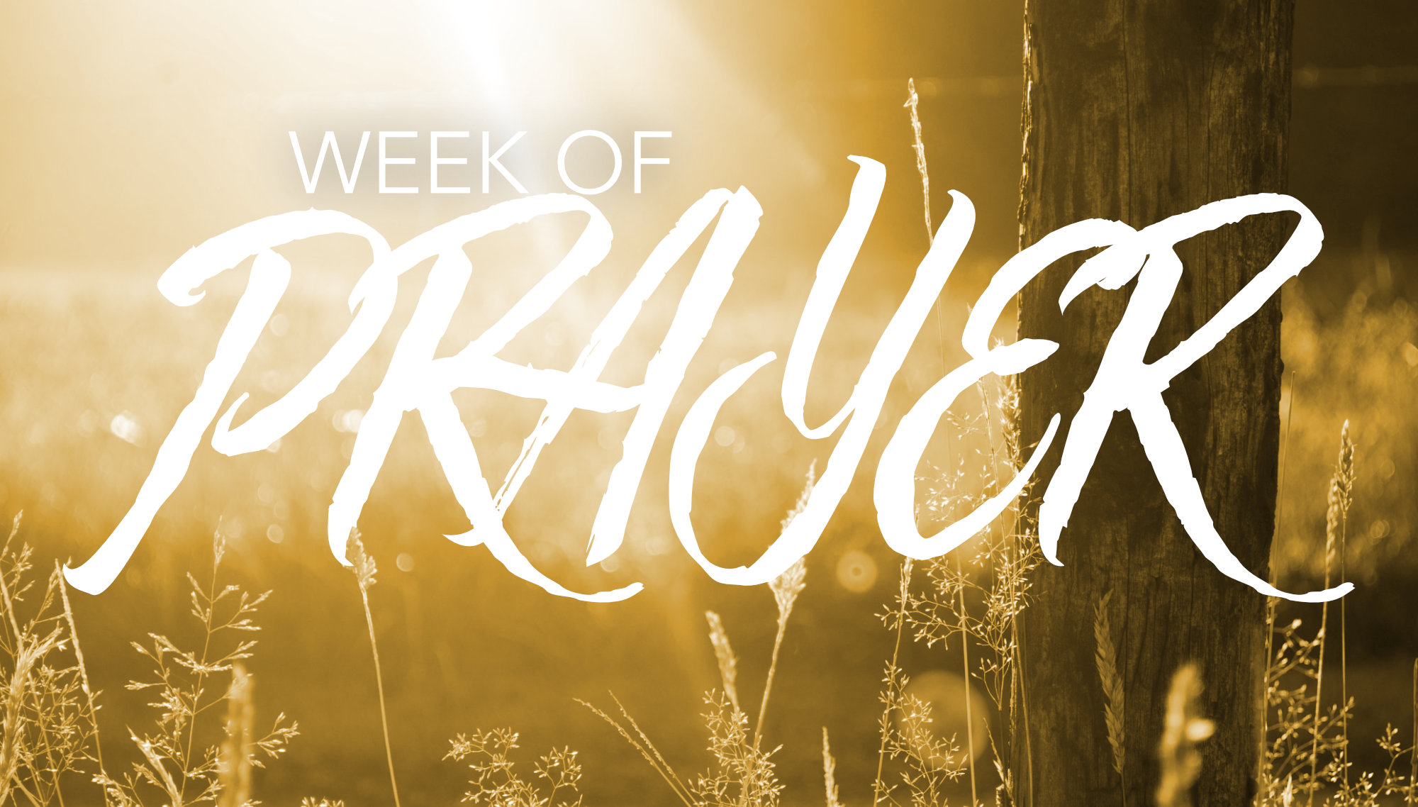 Week Of Prayer Week 1 Blue Grass Church