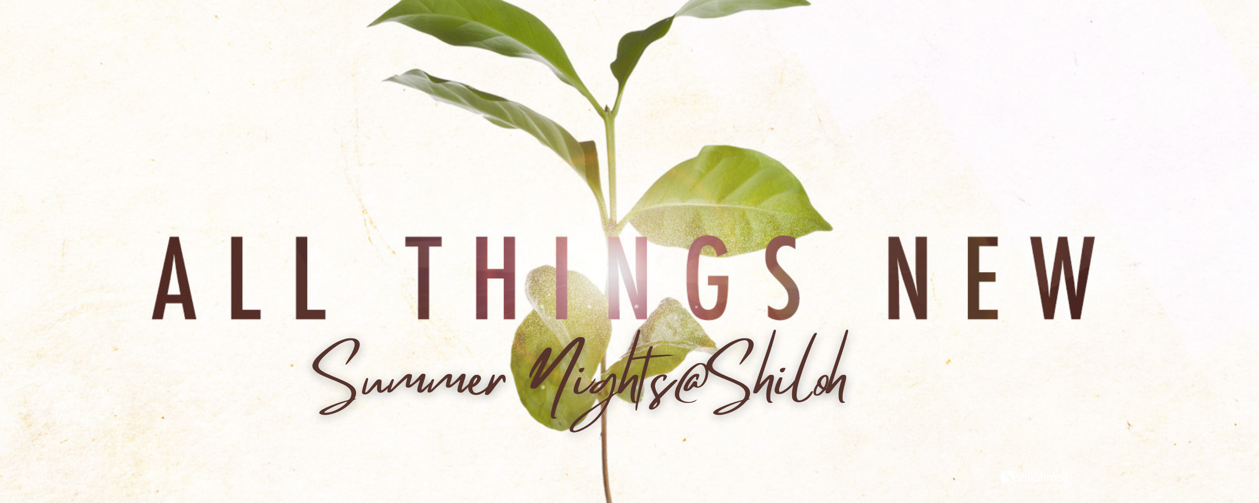 Summer Nights at Shiloh Shiloh Road Church of Christ