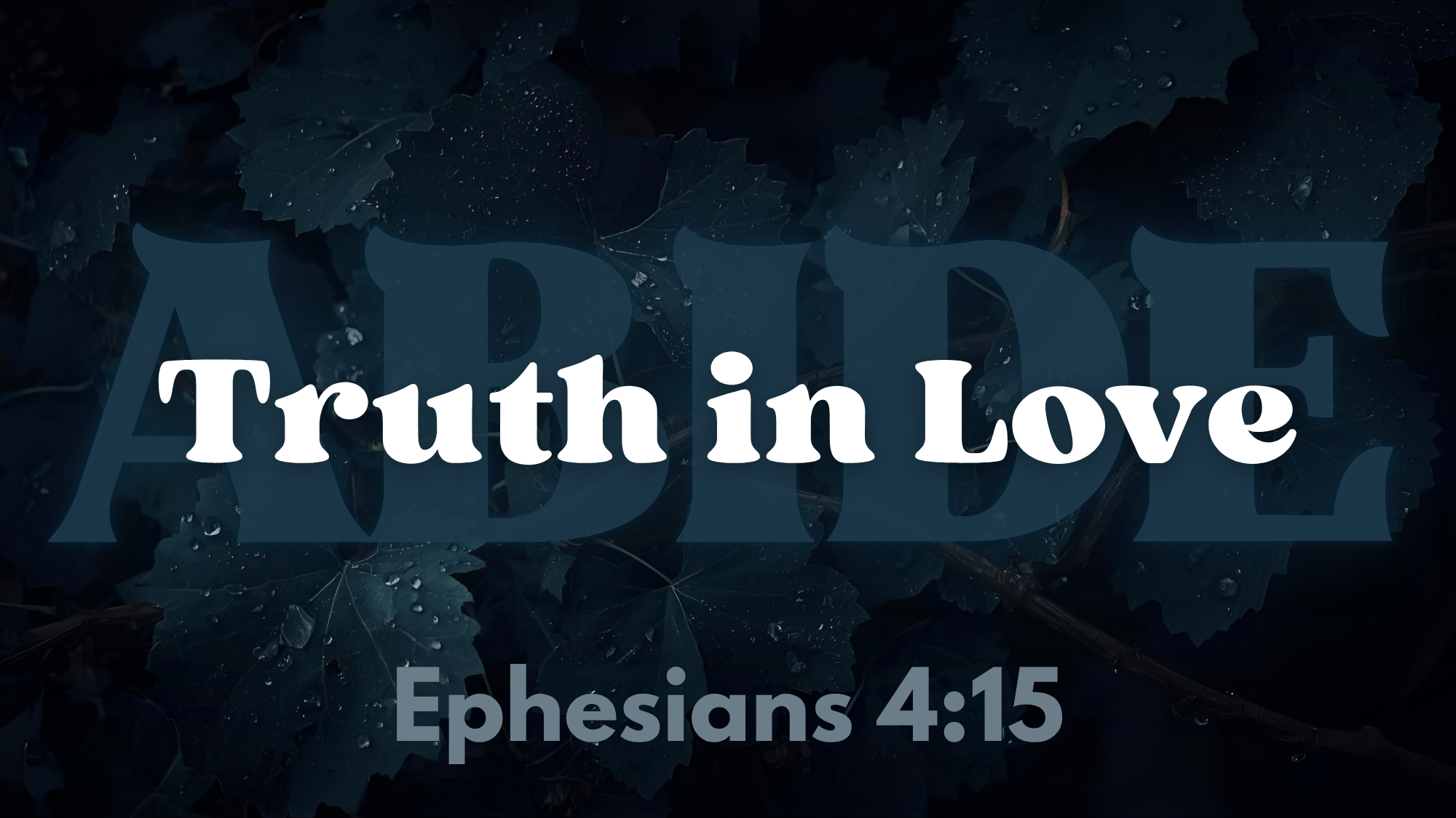 Week Twenty-Three