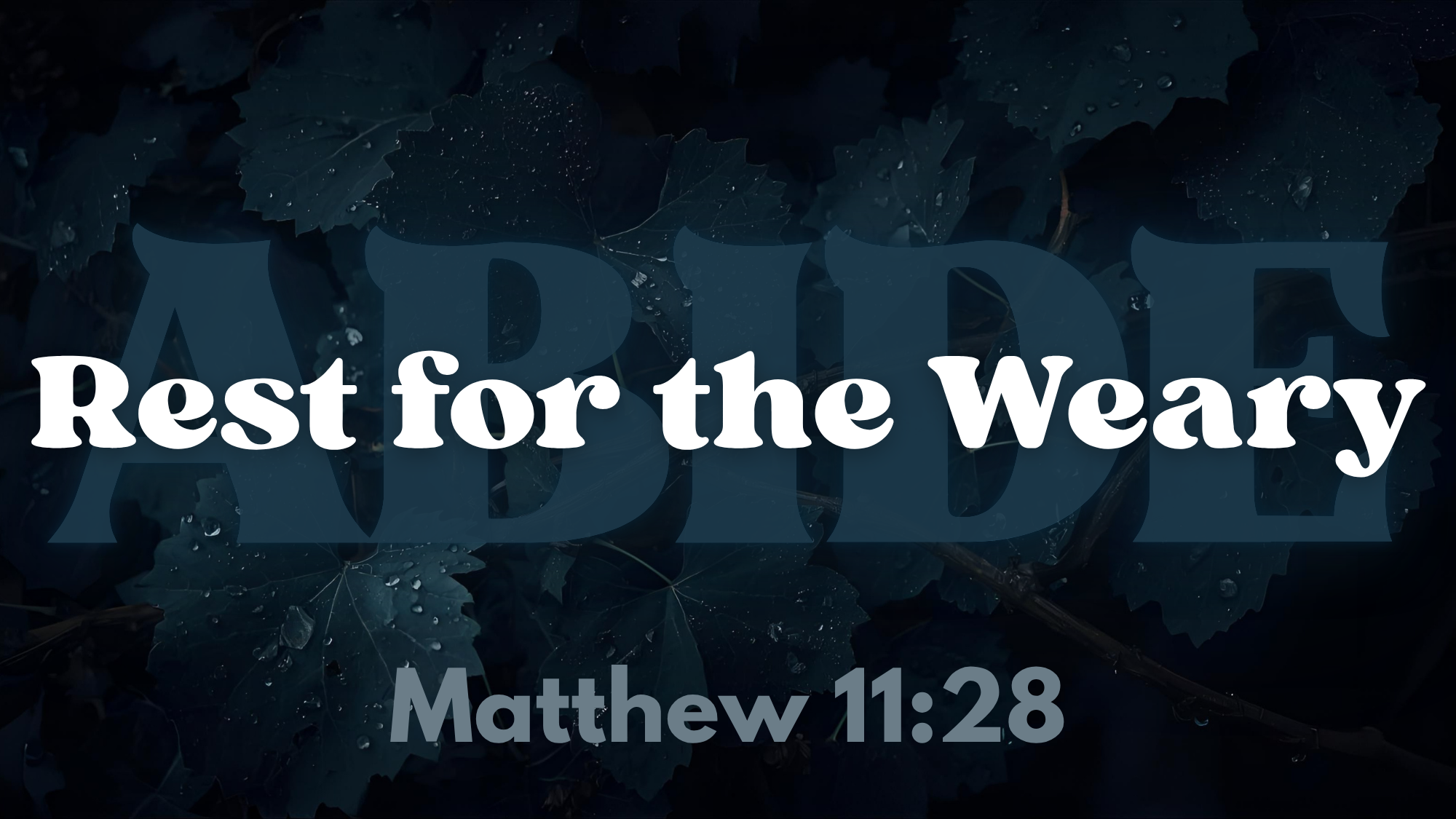 Week Twenty-Nine