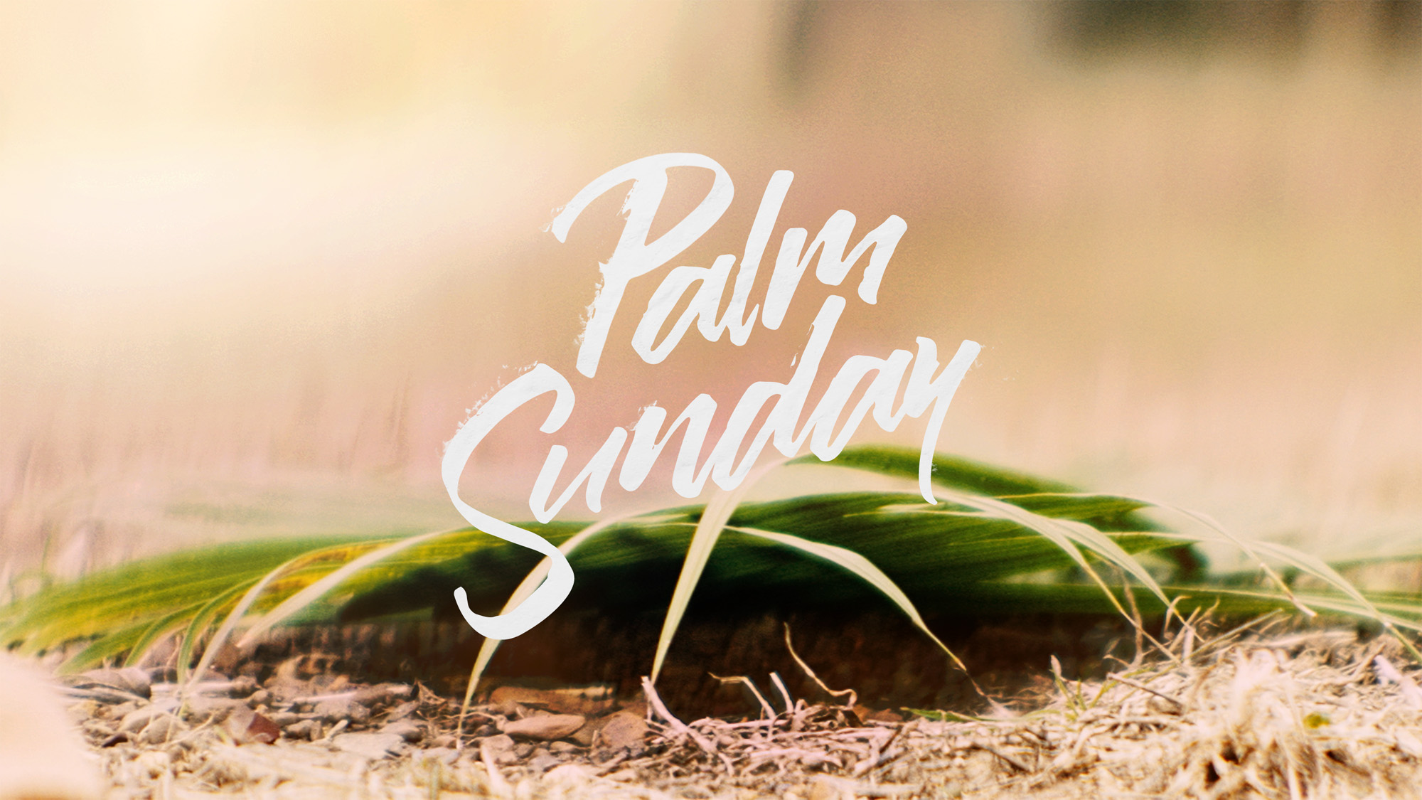 Palm Sunday 3.29.26