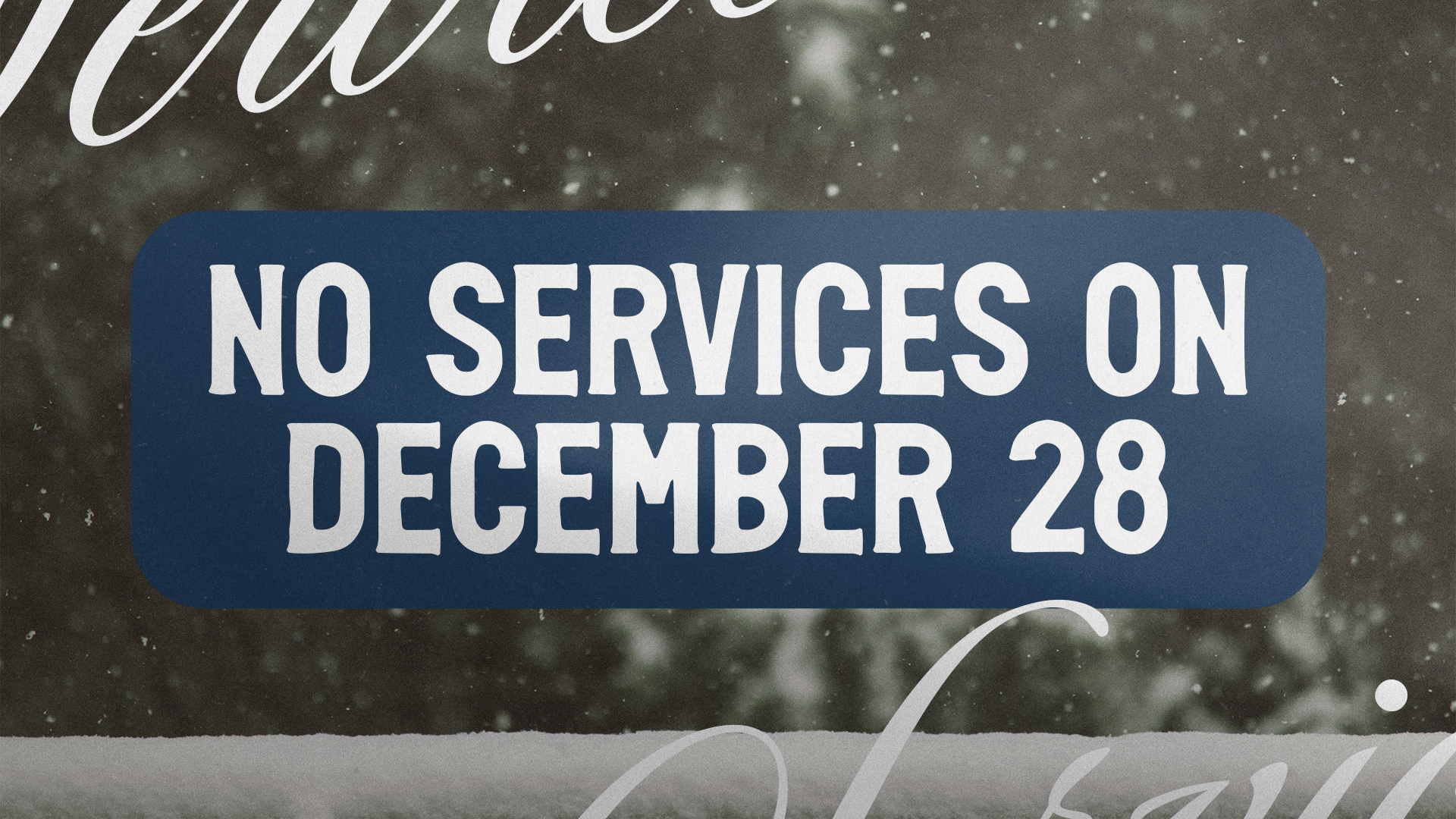 No Services 12/28