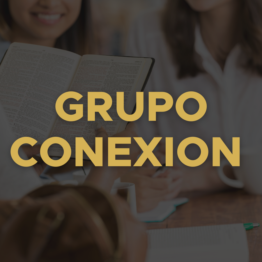 Grupo Connexion
