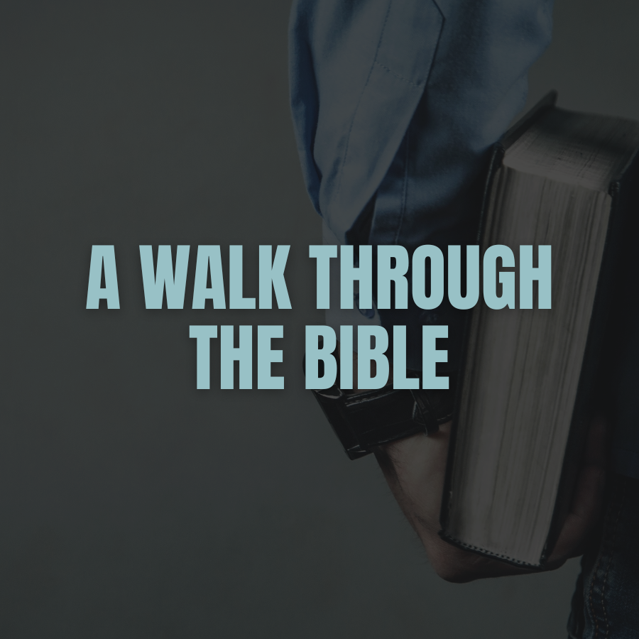 A Walk Through the Bible