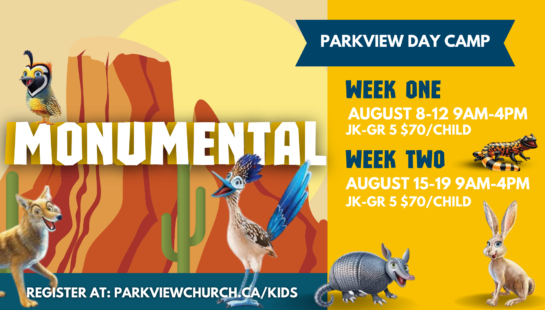 PARKVIEW DAY CAMP