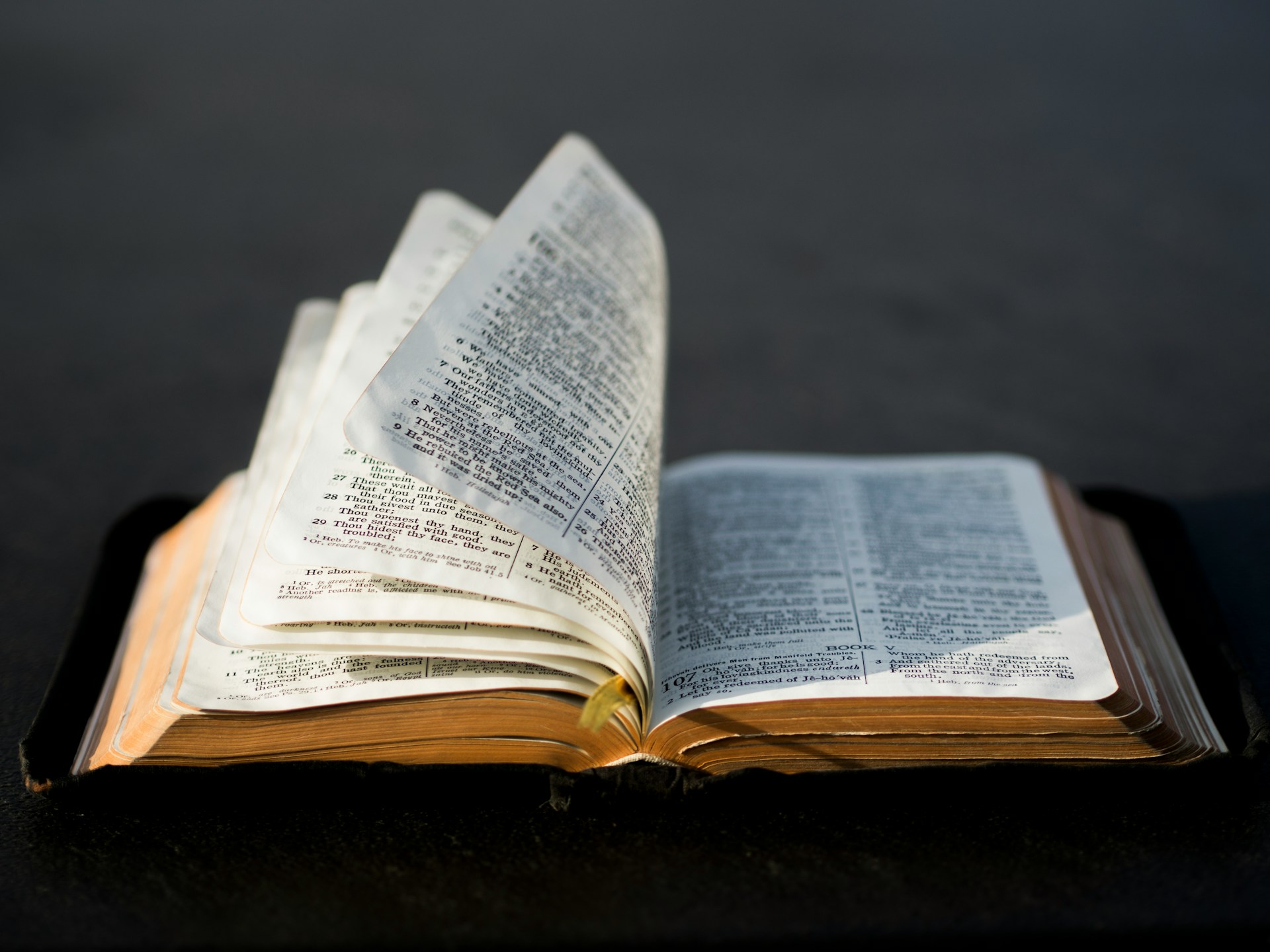 Meet Your Bible