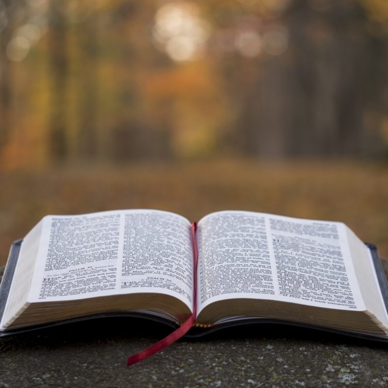 Sunday Evening Community Groups
