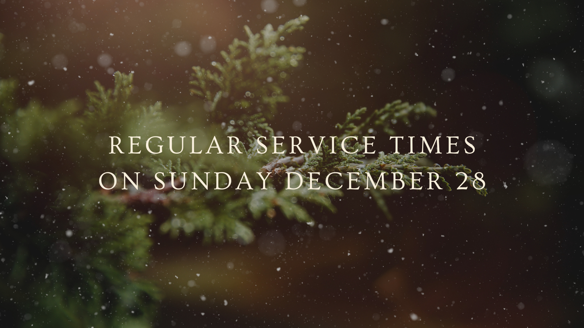 Sunday, December 28