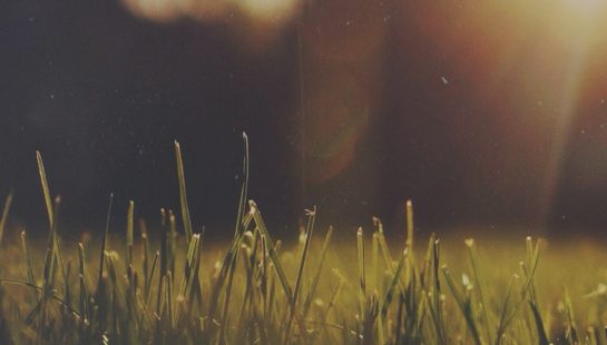 Featured Image