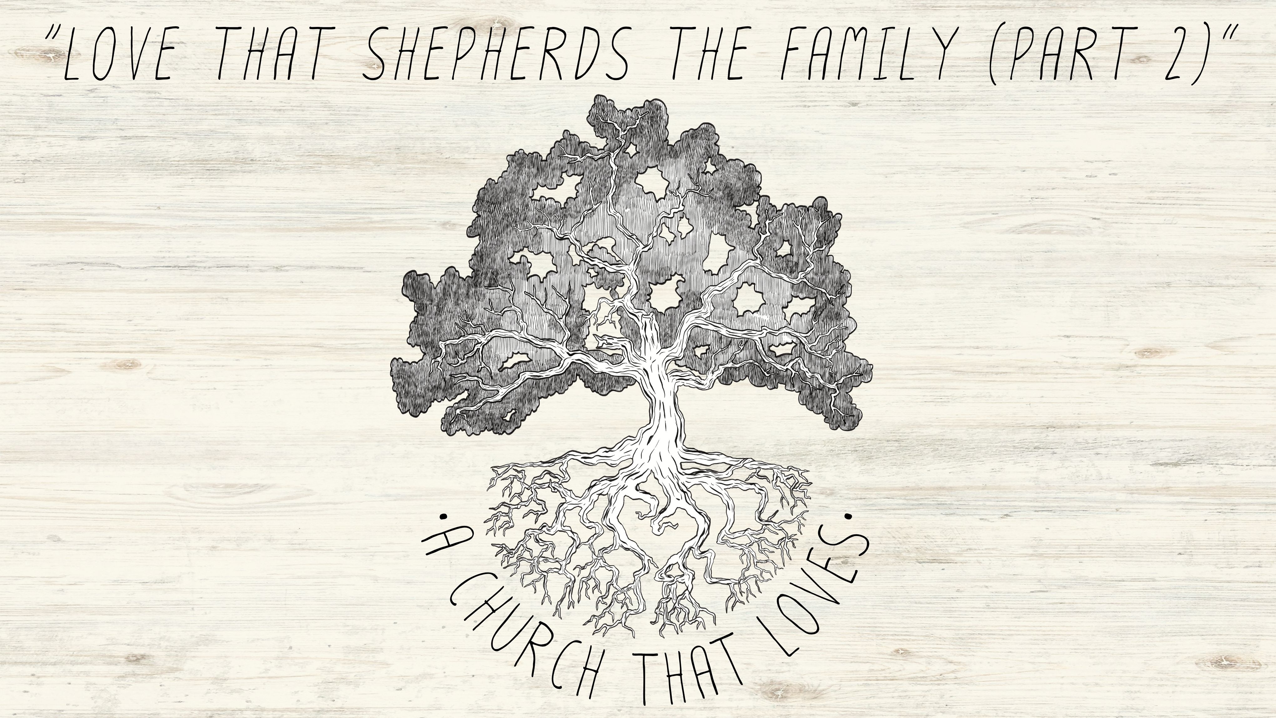 Love that Shepherds the Family (Part 2) episode artwork