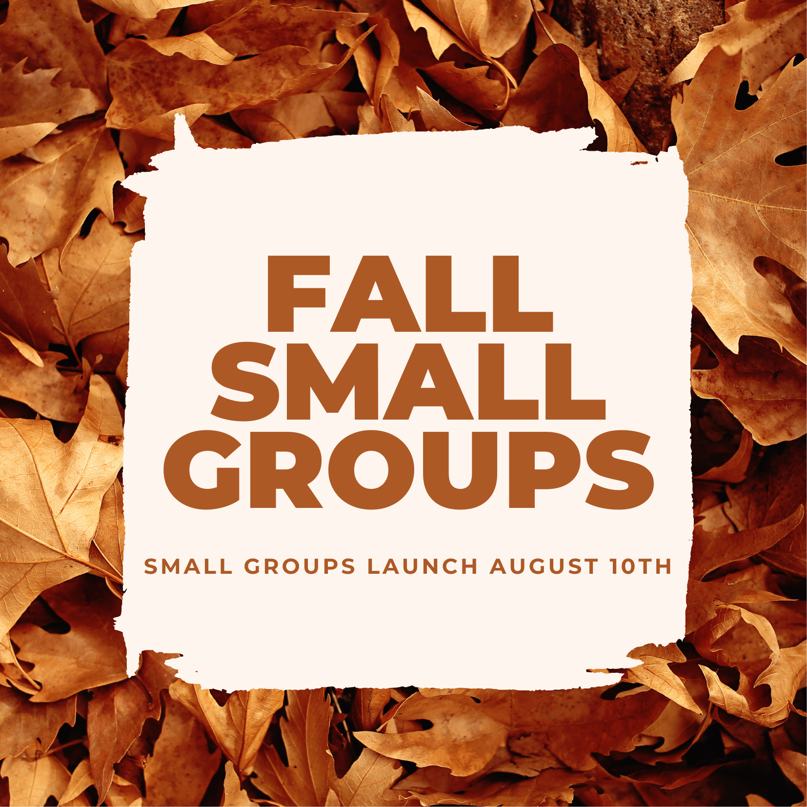 Fall Small Groups