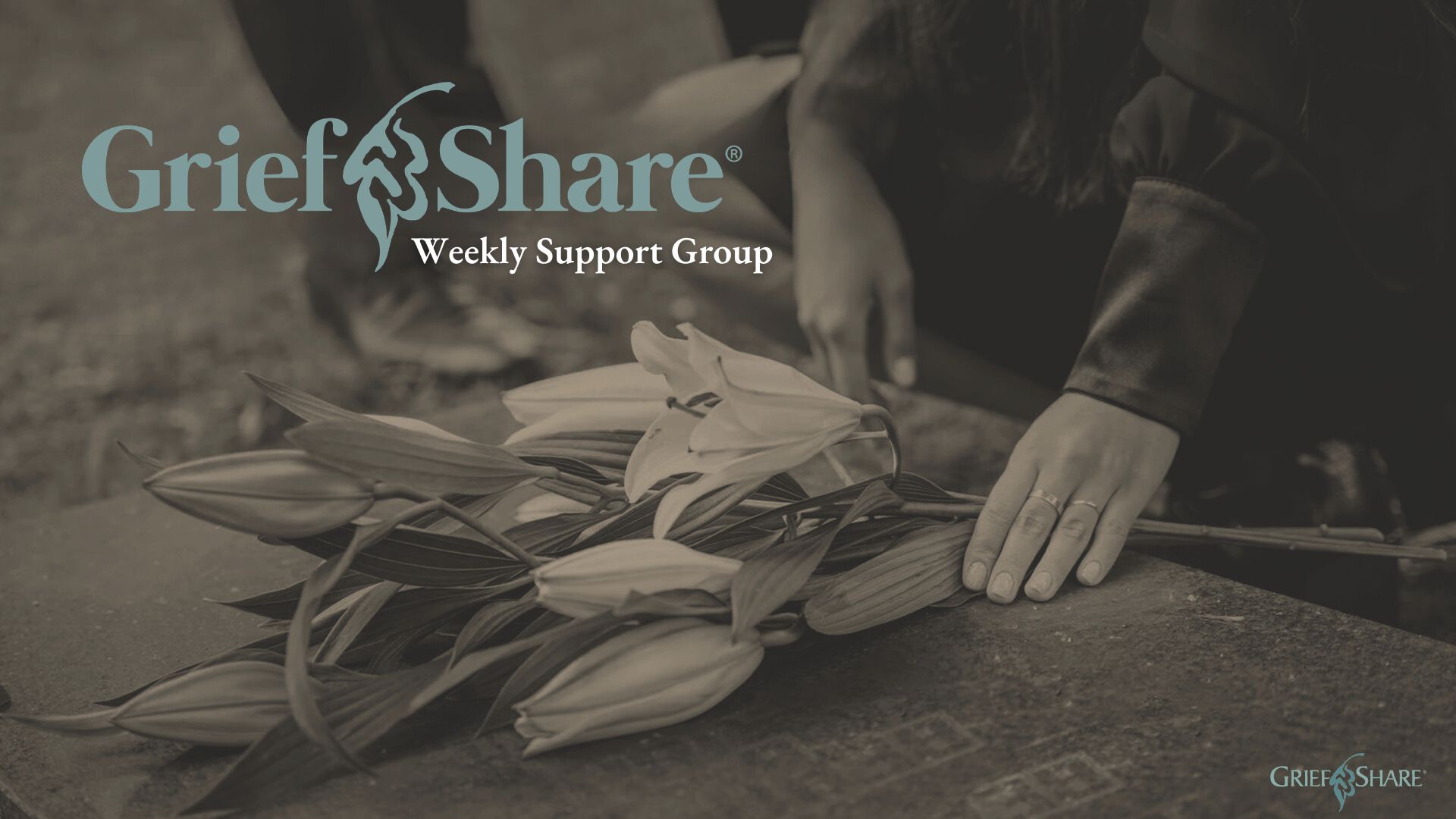 Sundays 3:00 - 4:30 pm, August 23 - November 29