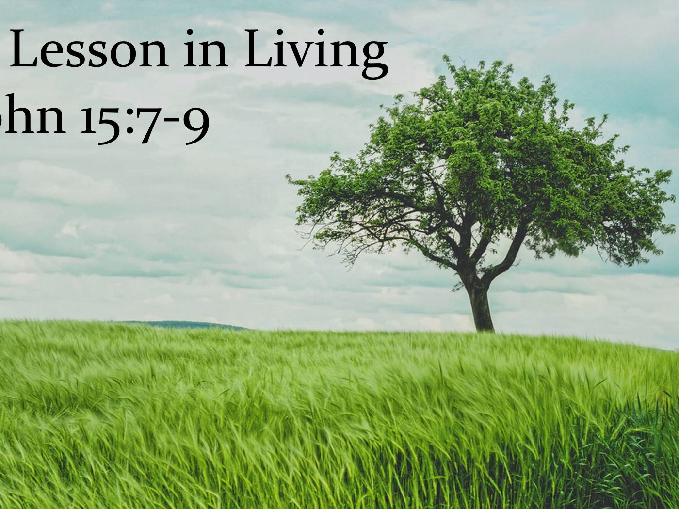 A Lesson In Living episode artwork