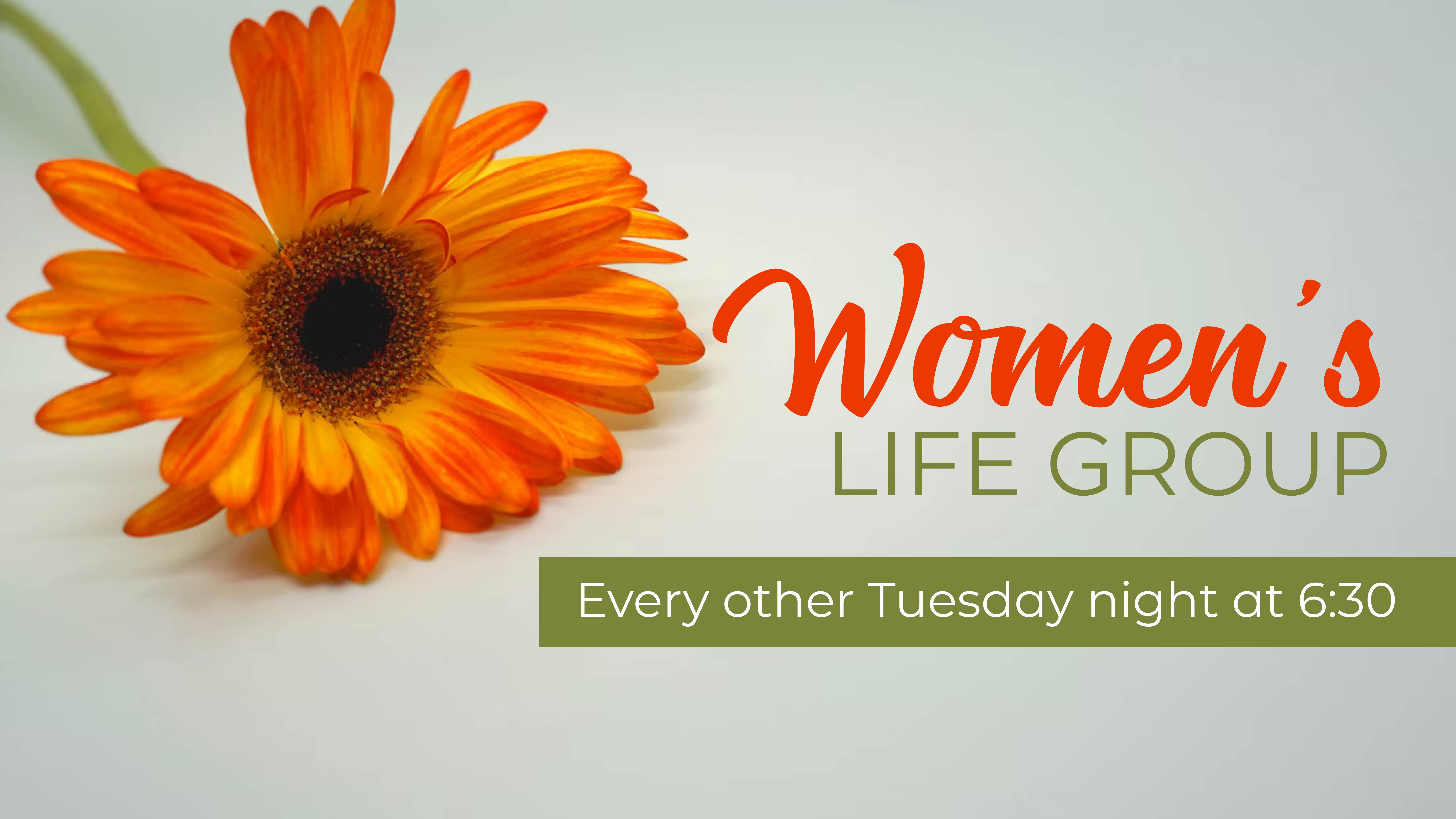 Women’s Tuesday Life Group