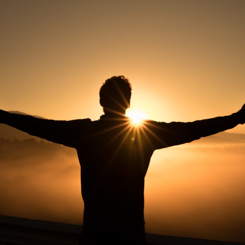The Header image