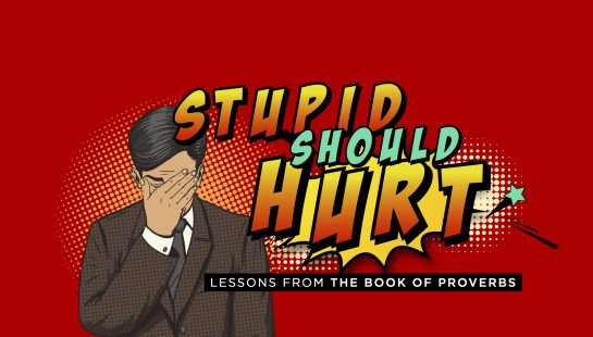 FEB 13 • NEW SERMON SERIES (STUPID SHOULD HURT)