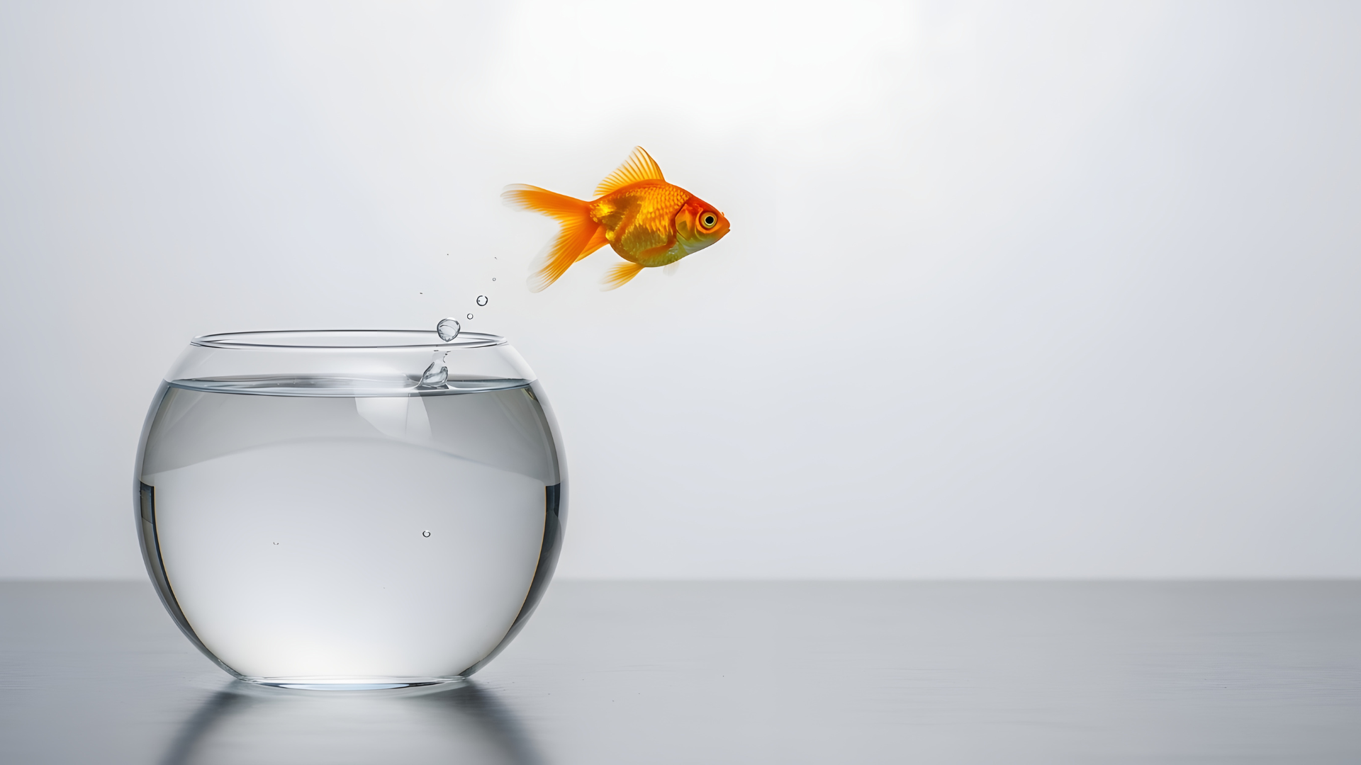 Consider a Call to Ministry