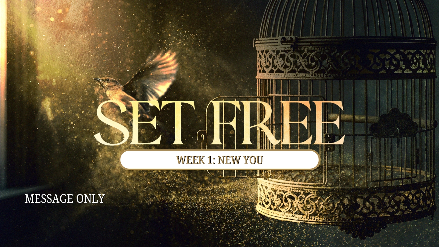 Week 1: New You