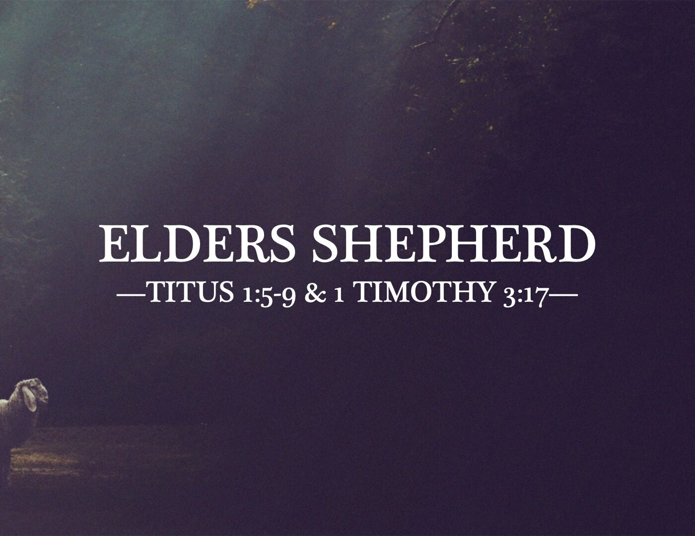 SHEPHERDS episode artwork