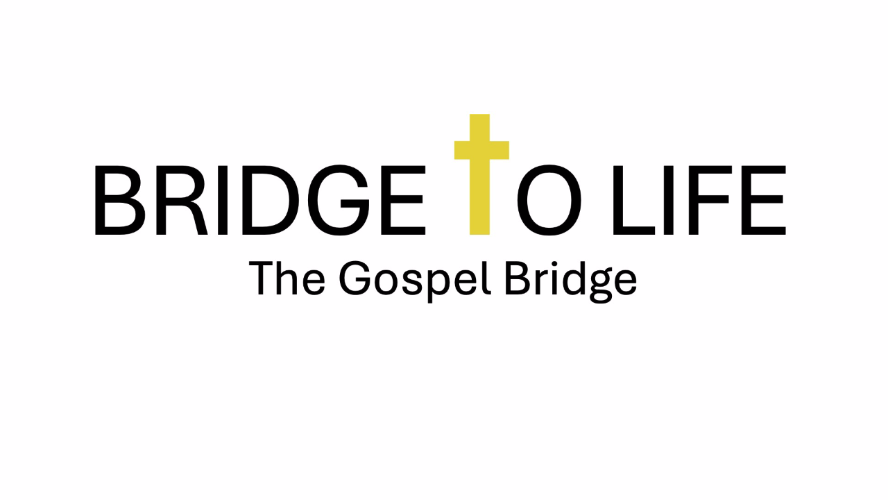The Bridge to Life episode artwork