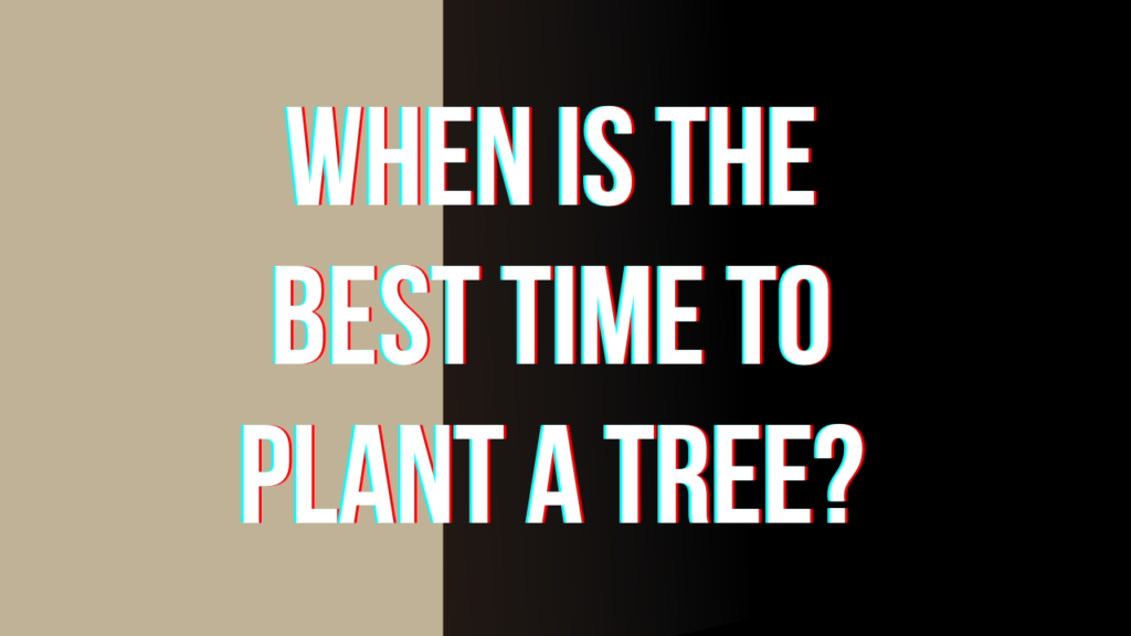 WHEN IS THE BEST TIME TO PLANT A TREE? One Hope at FBTC