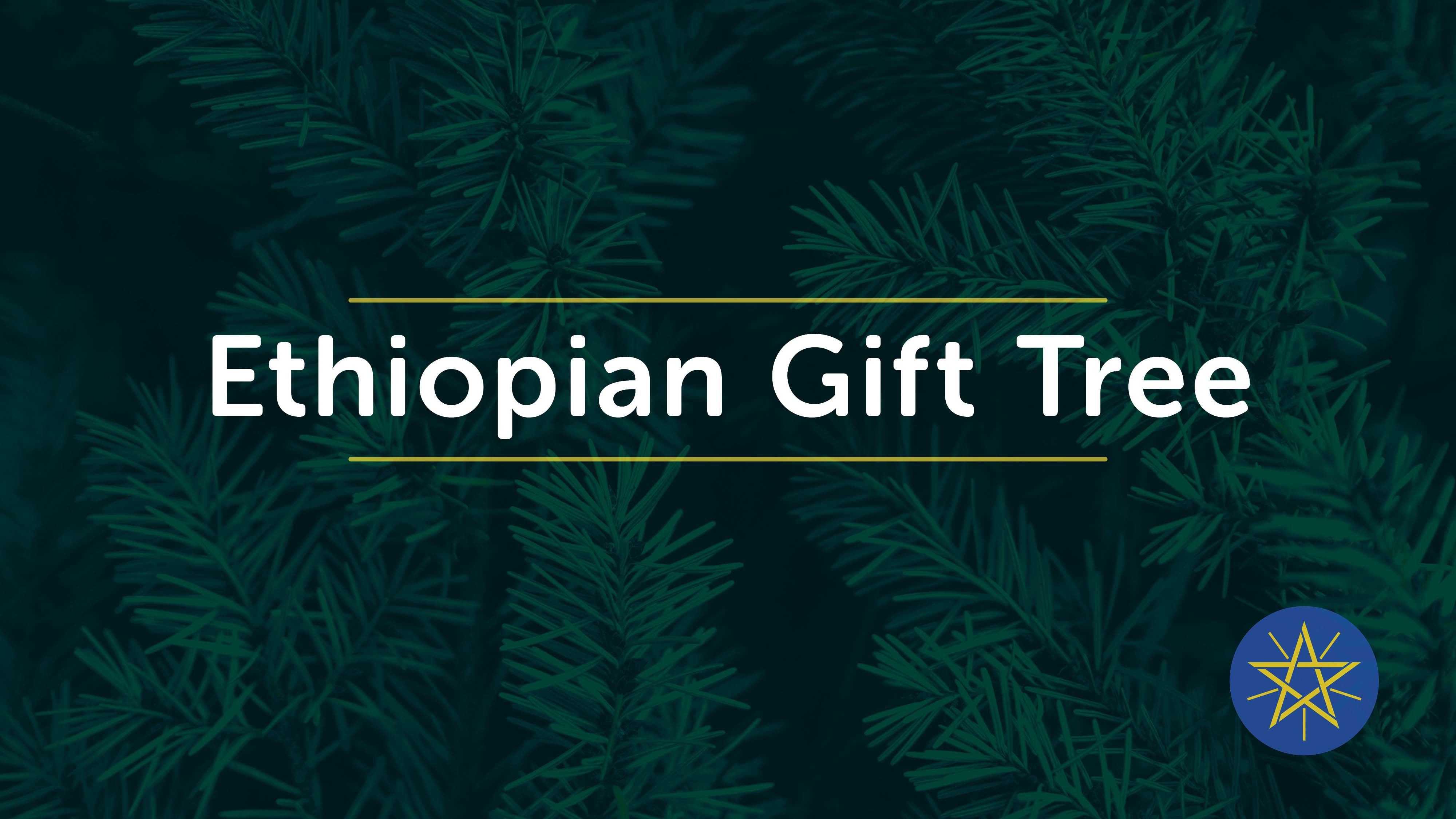 Ethiopian Gift Tree Ken Caryl Church
