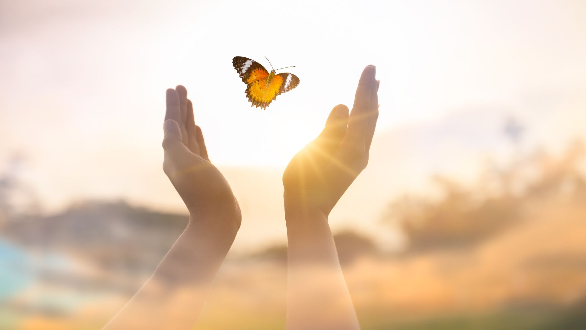 Why Deliverance Matters