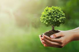 New Sermons: “Be Complete”
